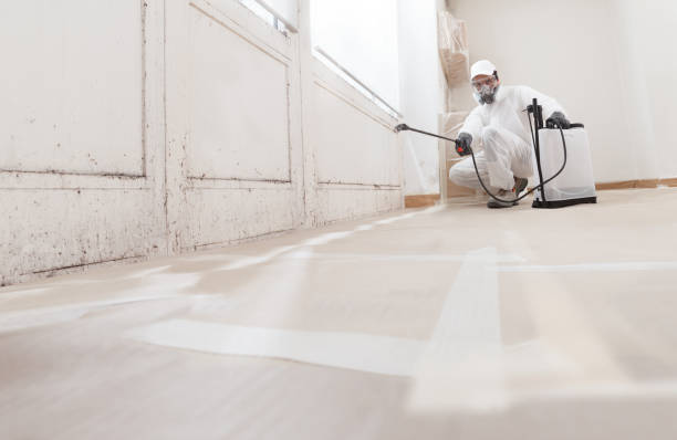 24/7 Emergency Attic Mold Removal experts in Central City, KY