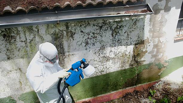 Top rated local Attic Mold Removal specialists in Central City, KY